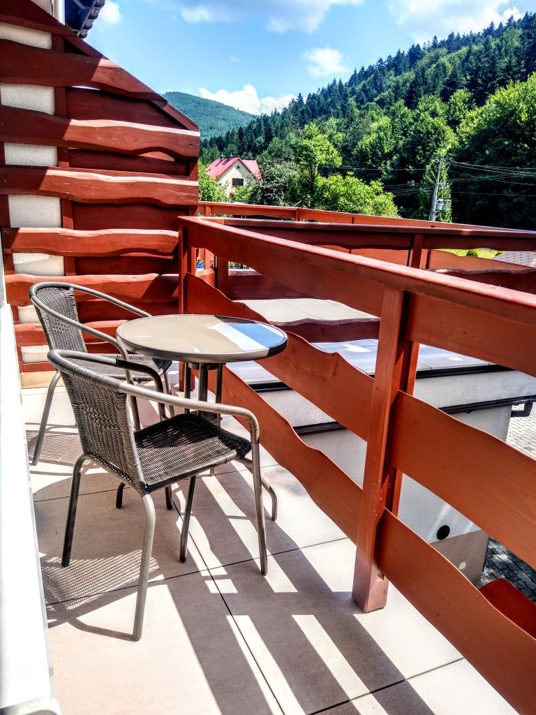 Apartament ,, Kominkowy,,  w górach , z balkonem z aneksem kuchennym