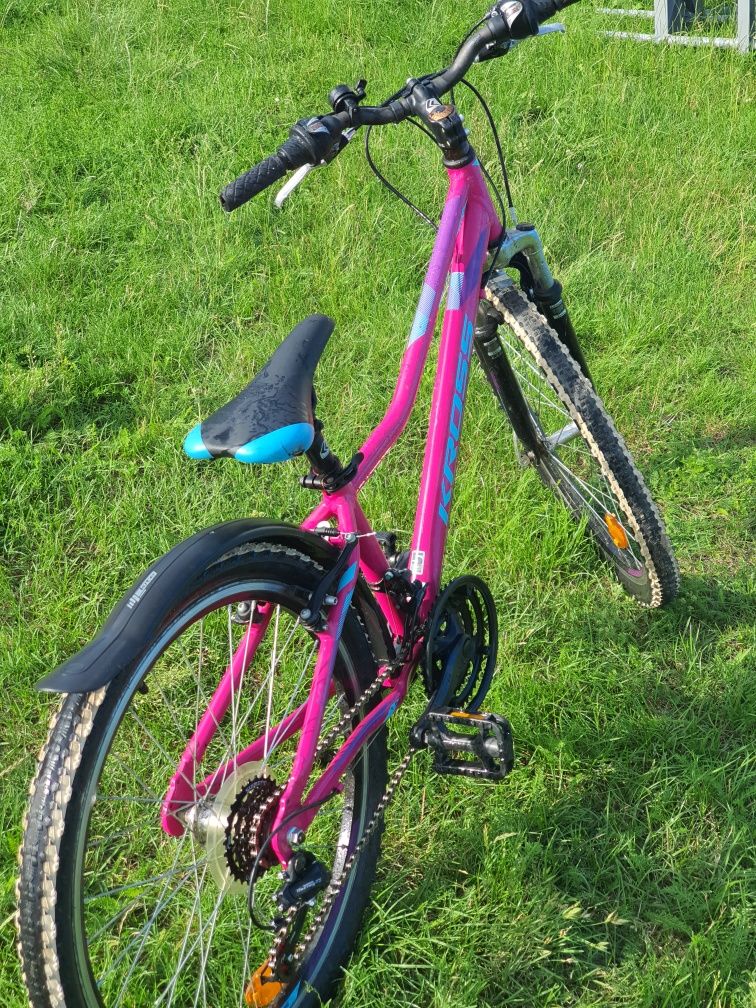 Rower kross mtb/górski 24"