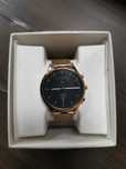 Zegarek Skagen DW12S1