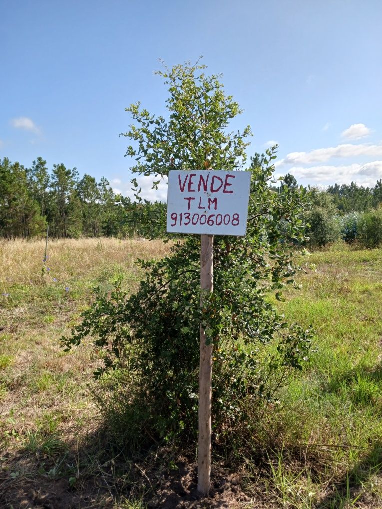 Terreno rústico com 3.700m quadrados