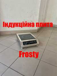 Індукційна Плита Професійна Frosty Італія