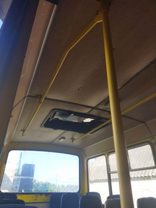 Баз 22154 дельфін