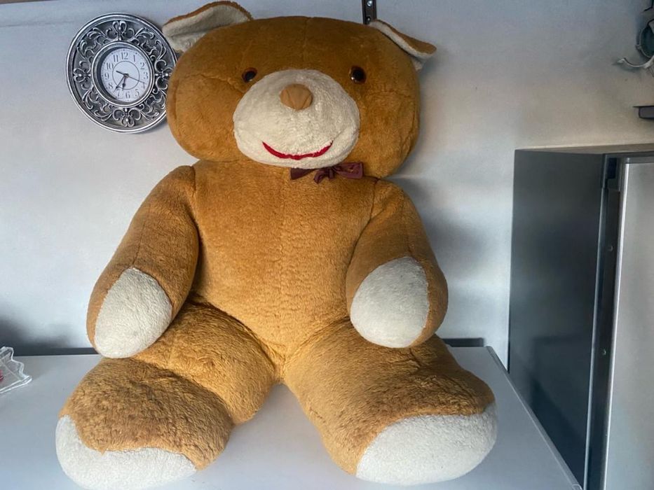 Urs completamente novo