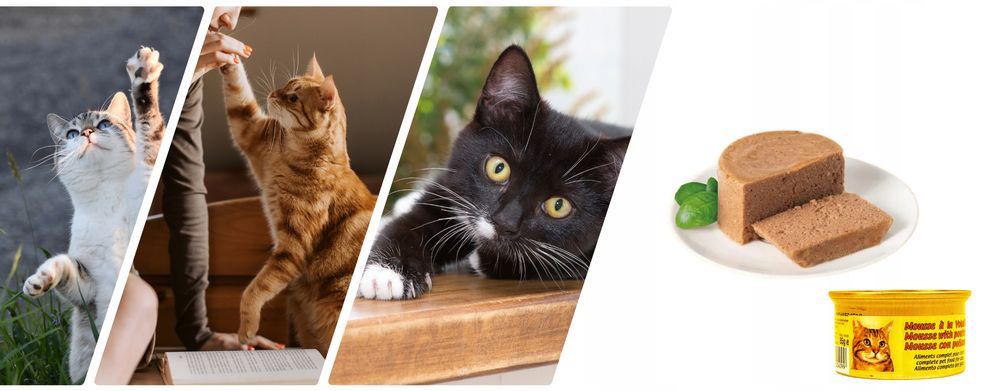 48 X 85 G Karma Mokra Dla Kotów Kurczak Kawałki W Sosie