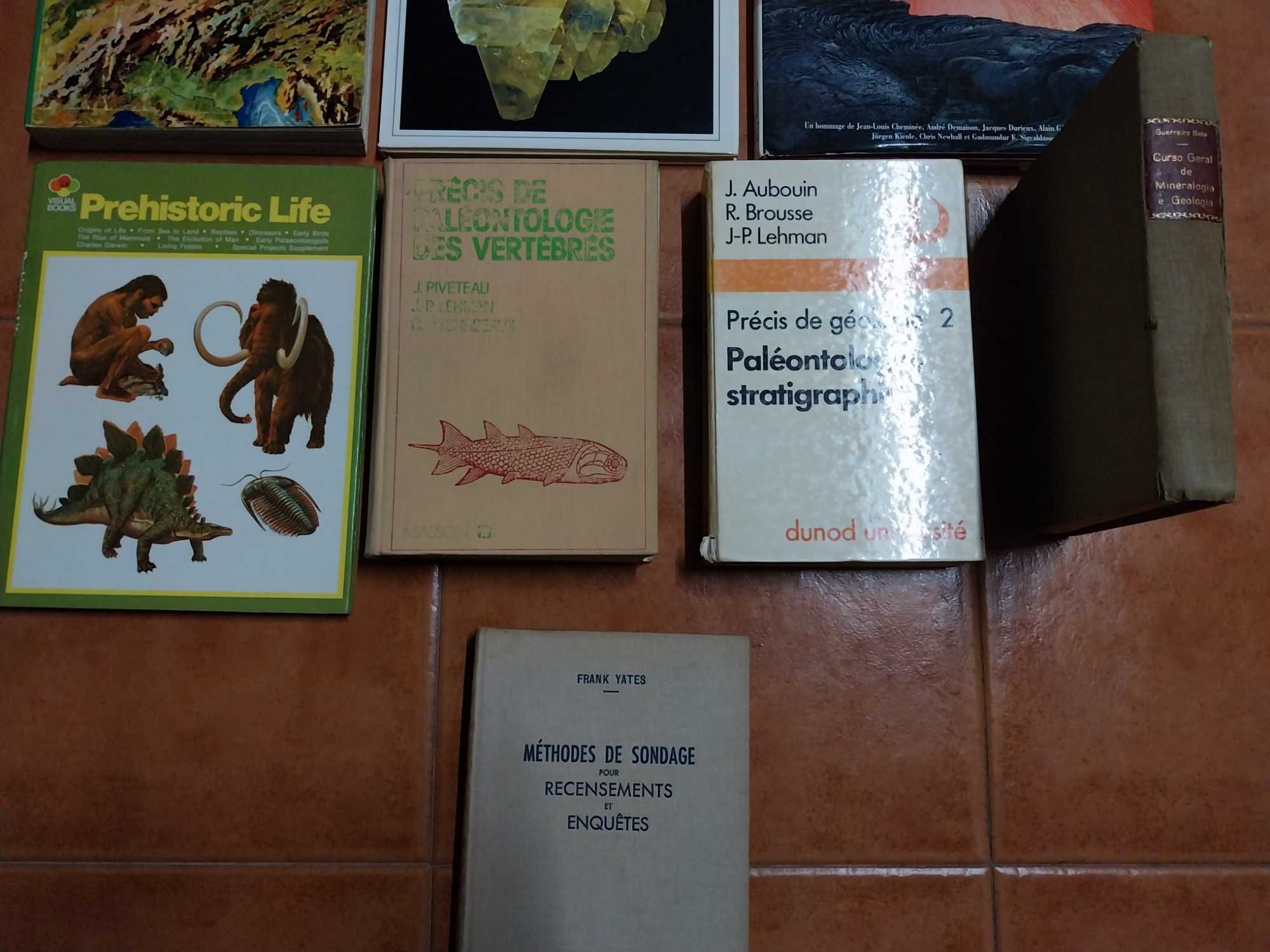 Livros Geologia, Mineralogia, Paleontologia, Biologia