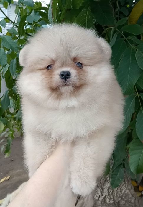 Чудовий хлопчик 2 місяці