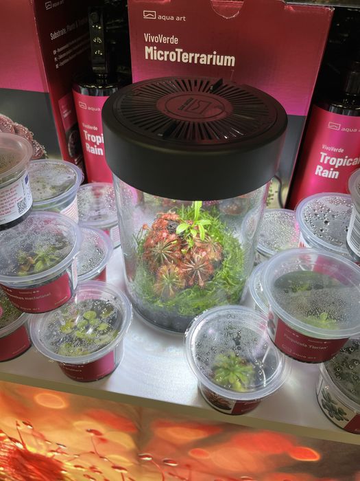 Aqua Art BivoVerde Tropical Rain 500ml MASSON