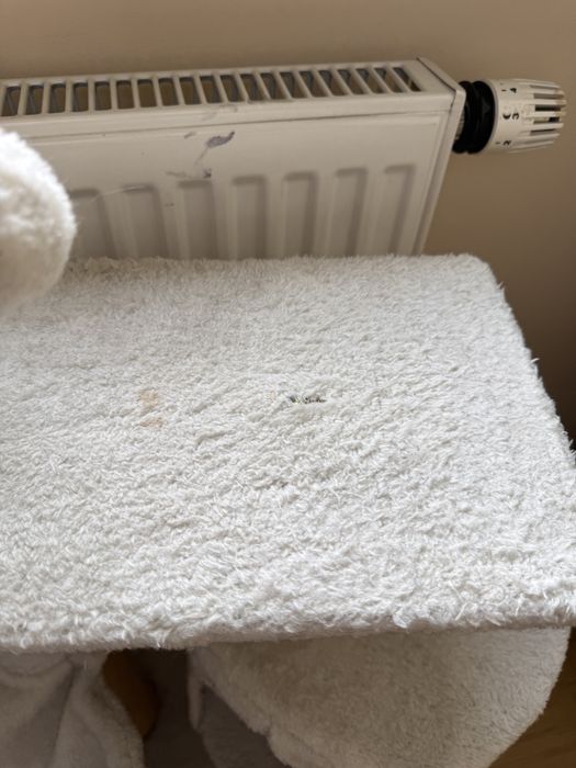 Wysoki drapak dla kotów