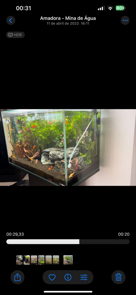 Aquario 70L + móvel