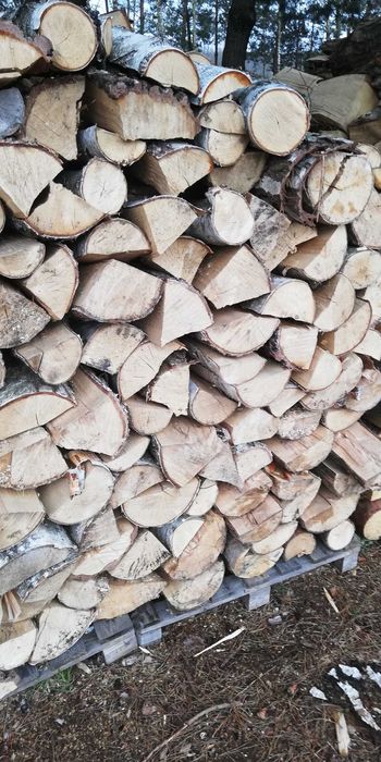 Drewno opałowe i kominkowe z dowozem