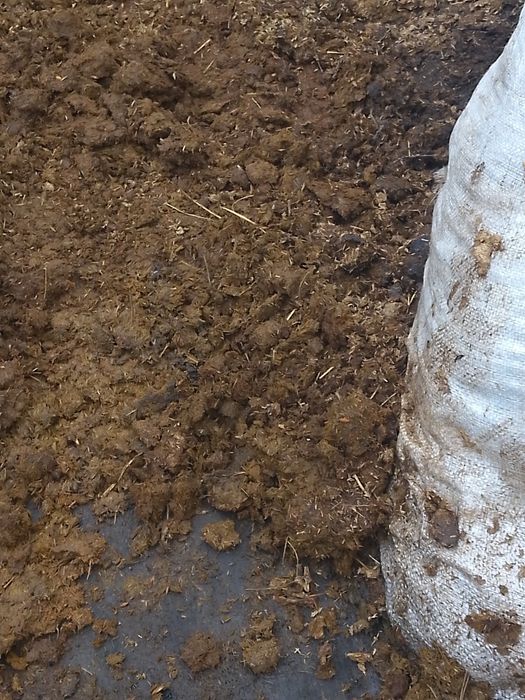 ,Навоз чистый  . конский.