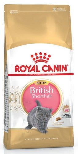 Karma dla kociąt, kotek w ciąży/karmiących Royal Canin BRYTYJCZYK 2kg