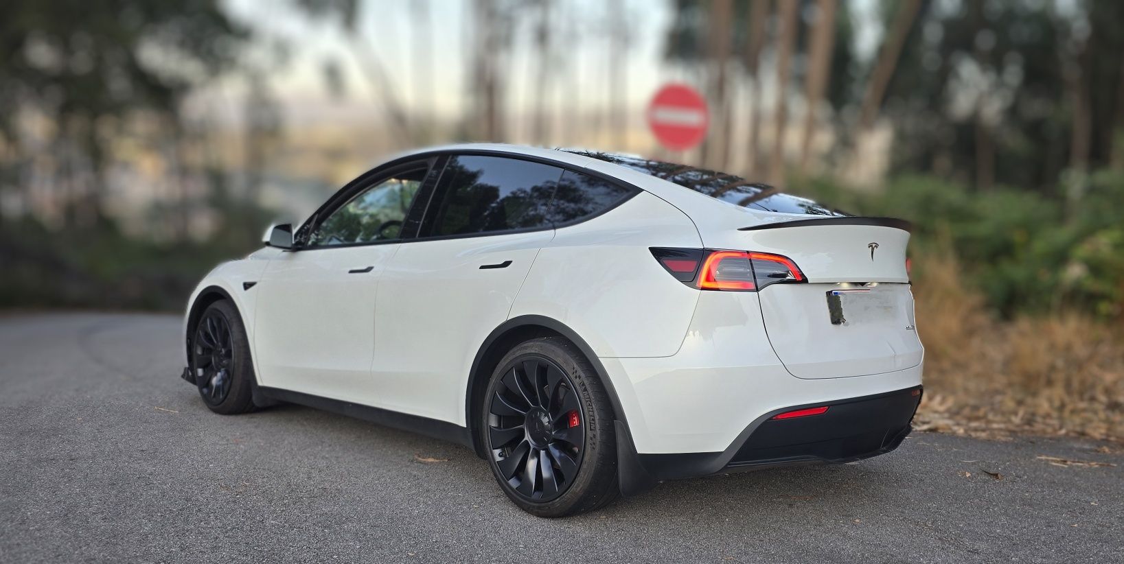 TESLA Model Y Long Range Performance  534cvs AWD
