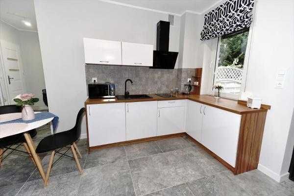 Komfortowy apartament typu studio z tarasem dla 2-3 osób