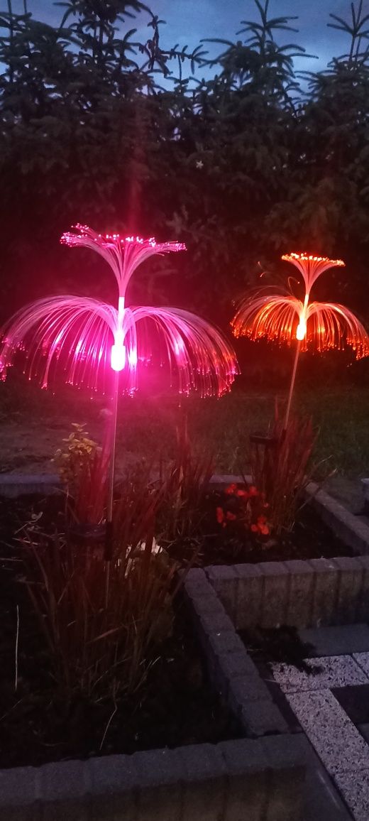 Lampki LED solarne