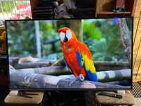 Telewizor Smart TCL 65EP640X2 4K HDR  DVBT2 Hevc 65 Cal Disney Android