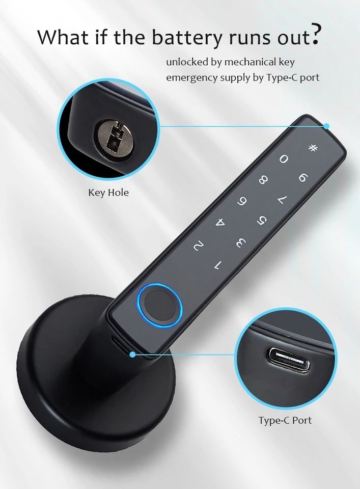 Fechadura de porta Inteligente Tuya Smart