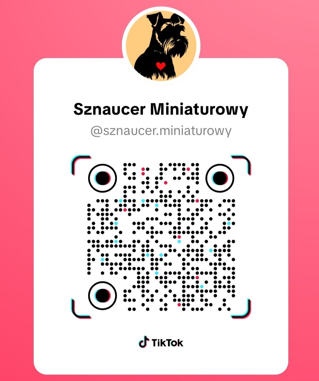 Sznaucer miniaturowy do rezerwacji