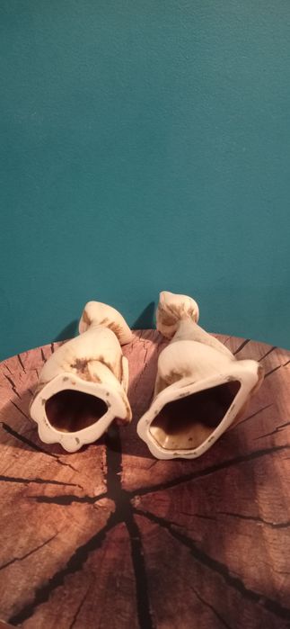 Dwa ceramiczne koty z długą szyją