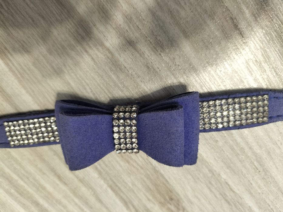 Obroża dla małego pieska z cyrkoniami