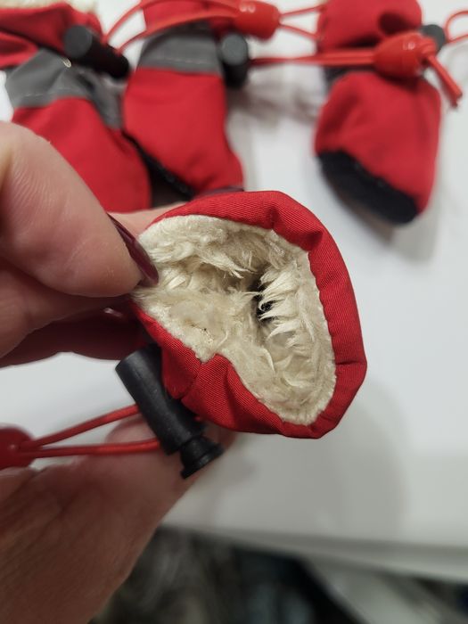 Взуття носочки черевички на собаку 3,5 см вага 2,5-3,5 кг