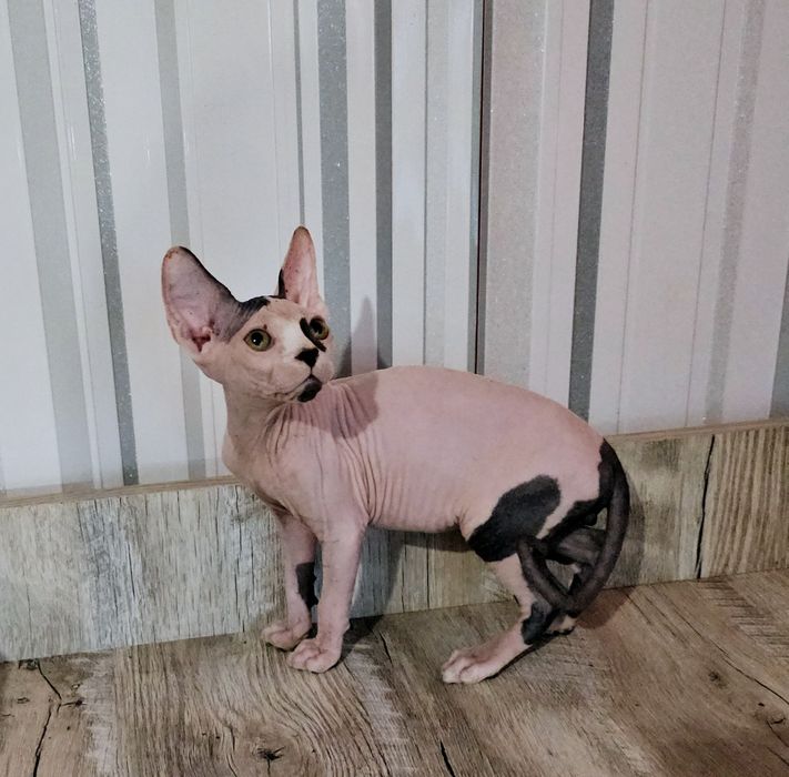 Хлопчики гарнюні