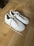 Buty       chamption