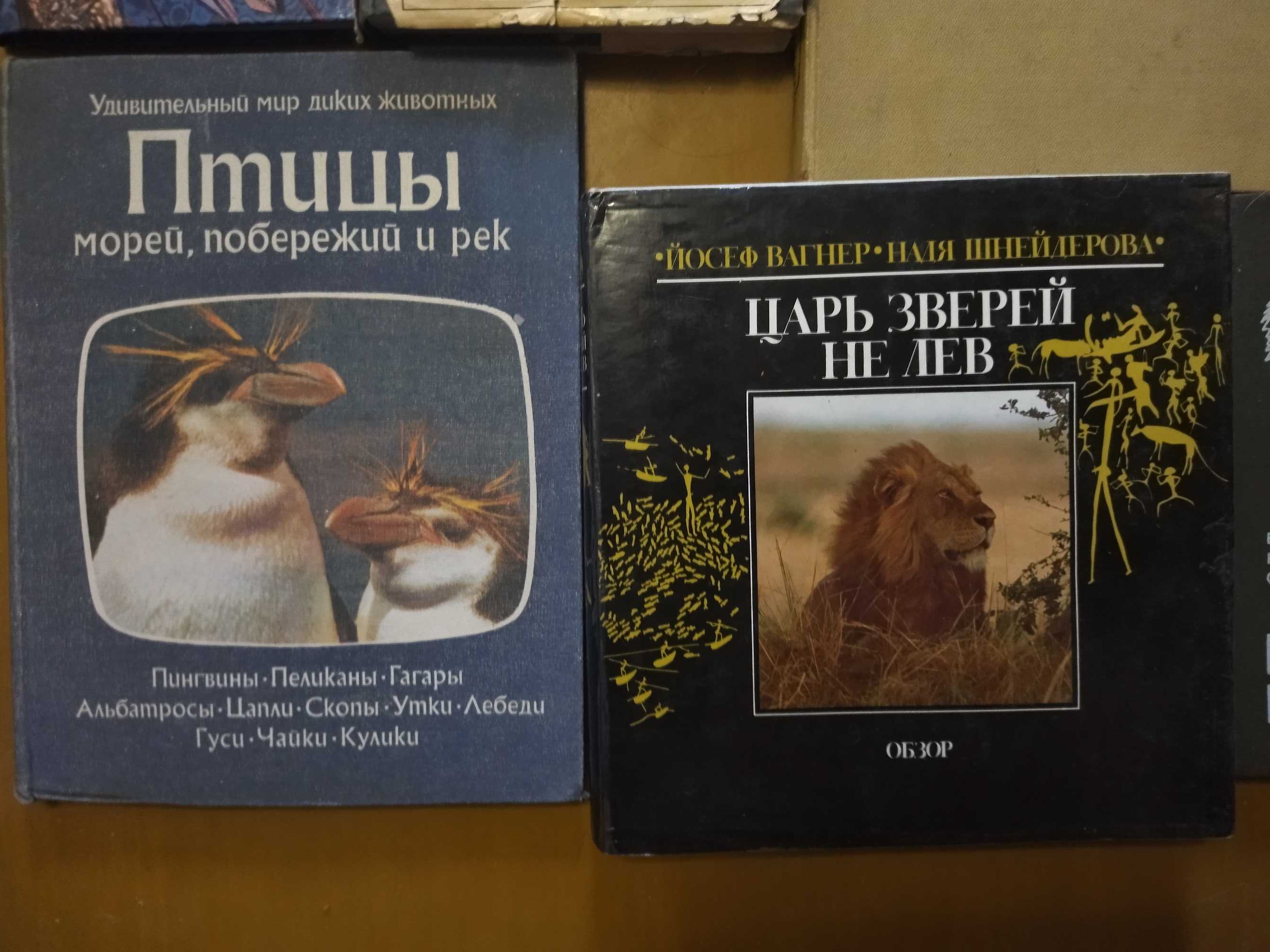 Животные. Супер подборка по супер цене