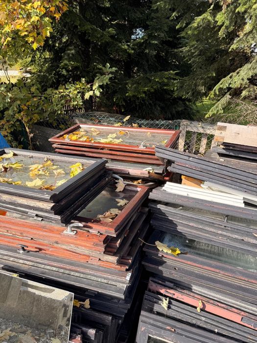 Oddam drzewo za darmo!