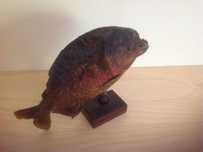 Piranha Brasil decoração