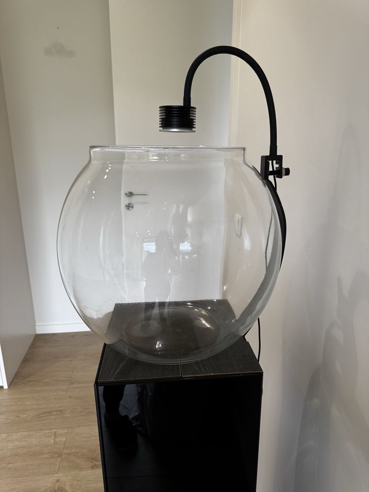 Aquário 50L com Móvel de Vidro e Iluminação Wi-Fi