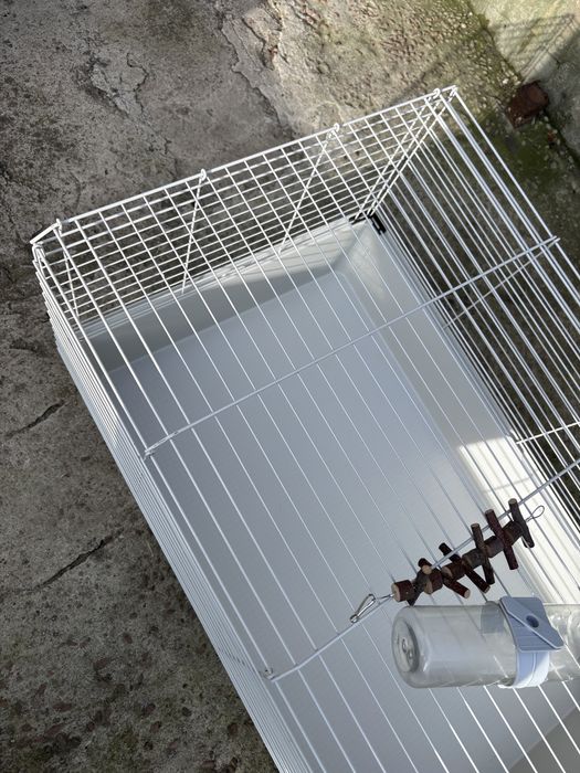 Клітка для гризунів