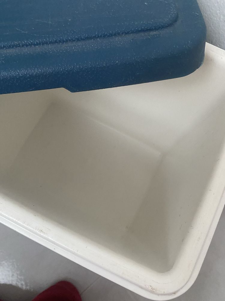 Geladeira/Arca/ Larcheira Termica azul