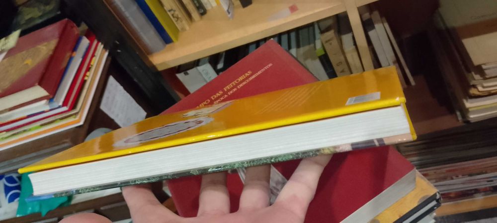 A Alta idade Média da Antiguidade Tardia ao Ano Mil