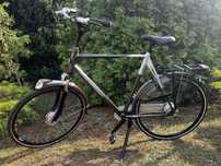 Gazelle Eclipse C8 męski rozmiar 65 N031
