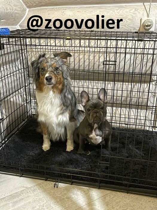 Клетка, клітка S,М,L,XL,XXL переноска будка, домик для собак или кошек