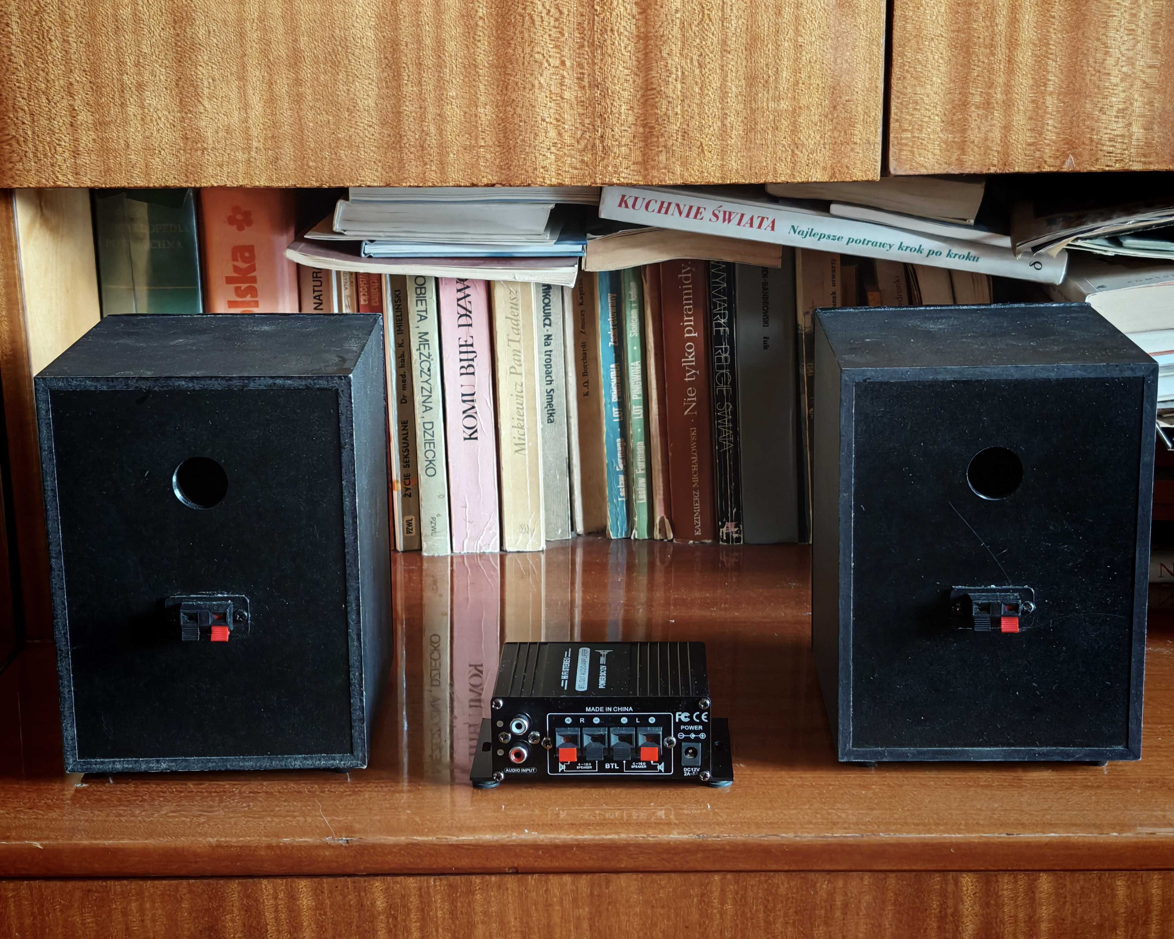 Głośniki i mini wzmacniacz 2x10W