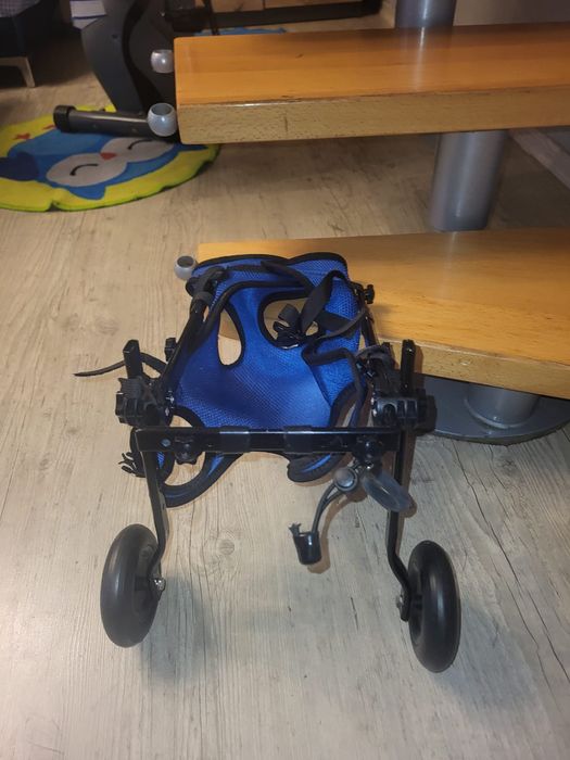 Wózek inwalidzki dla psa na tylne nogi