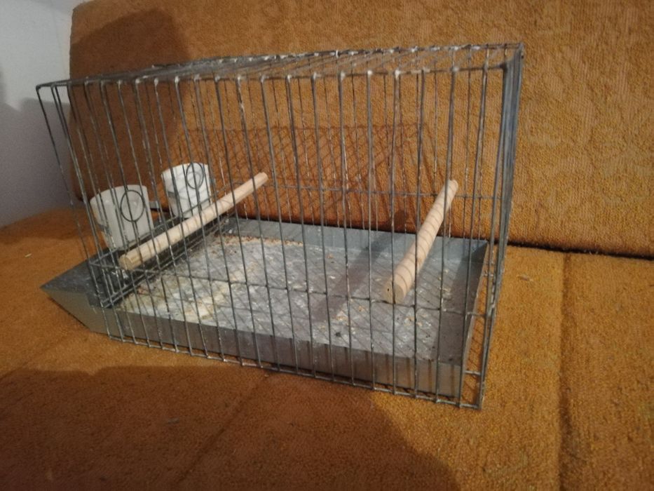 Klatka wystawowa transportowa na kanarka ptaki