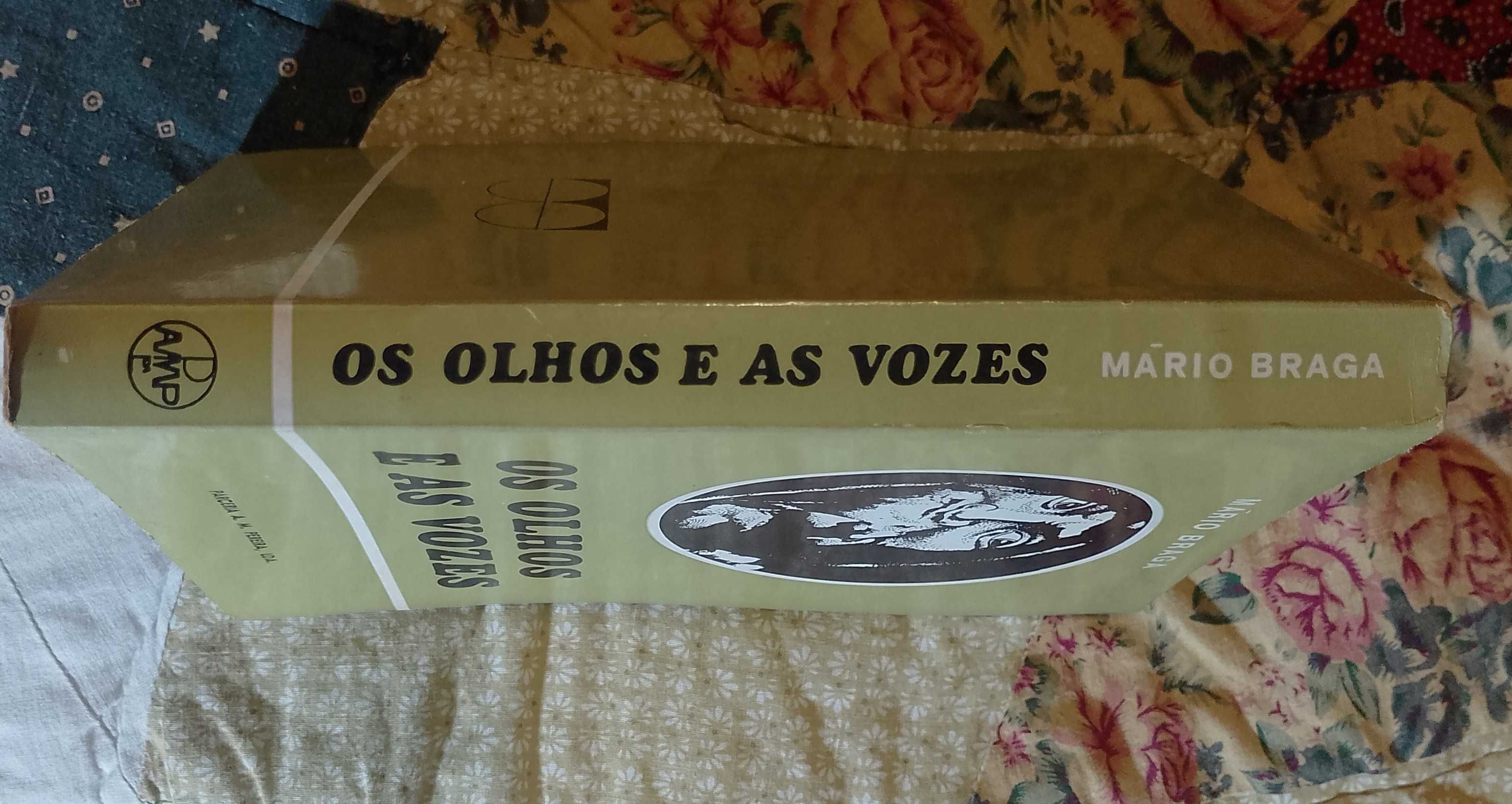 Os olhos e as vozes, Mário Braga