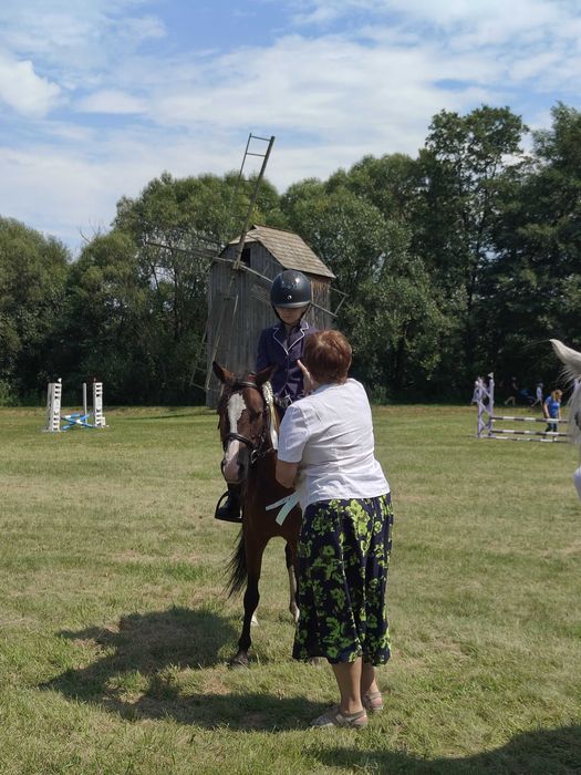 Klacz kuc, sport rekreacja, hodowla