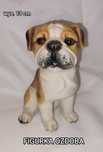 Figurka ozdoba PIES buldog angielski 13 cm