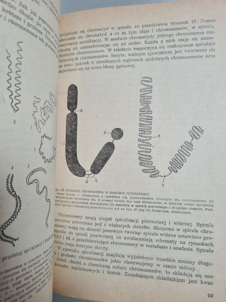 Anatomia roślin - Edmund Malinowski