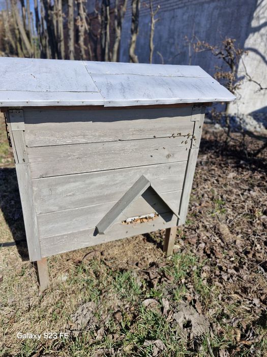 Ule warszawskie ,dadant