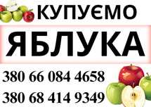 Купуємо Яблука,Калуш та Калуський район