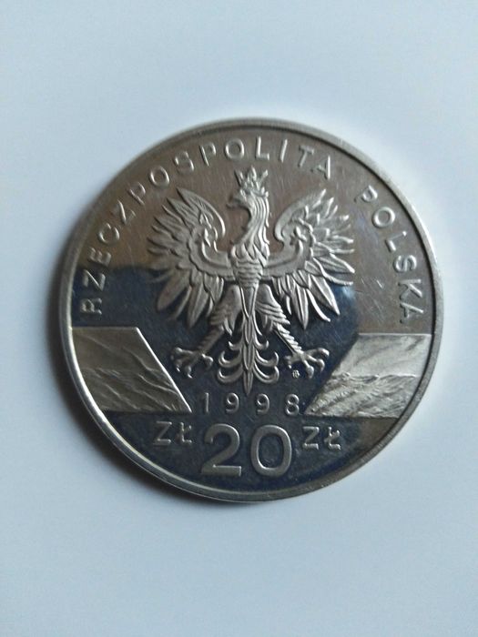 Moneta Ropucha paskôwka