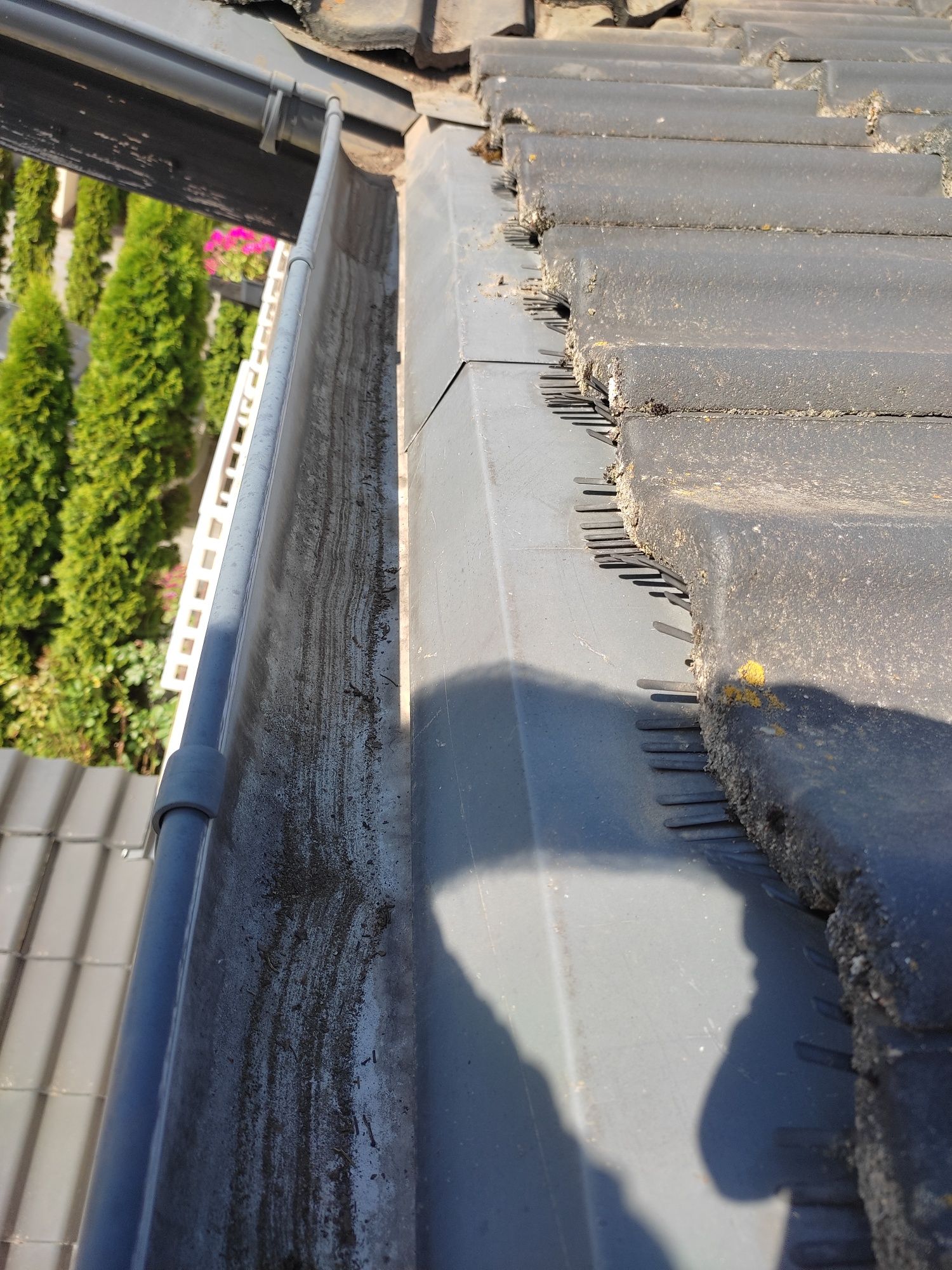 Czyszczenie rynien #czyszczenie dachu #dachówki #rynna #czyszczenie #u