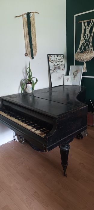 Fortepian krall & seidler