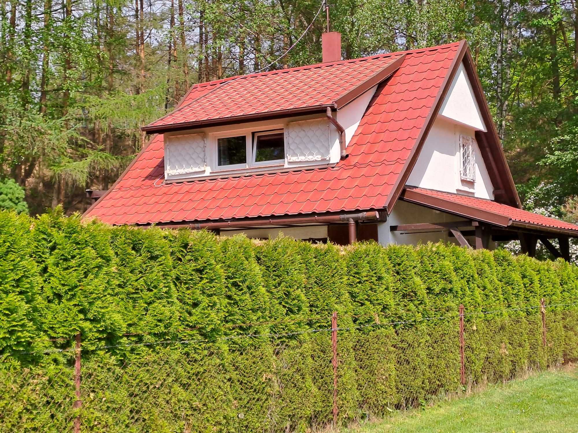 Domek na Mazurach (zwolnił się termin 21.07-25.07)