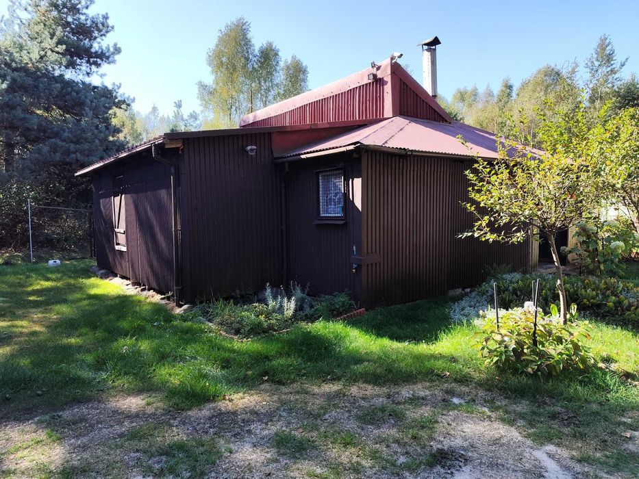 Domek letniskowy pod lasem